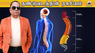 தண்டுவடத்தின் ரகசியம்(Secrets of Spinal Cord ) / C.K.Nandagopalan