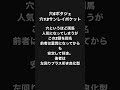 金鯱賞2022予想！先週弥生賞○1着！