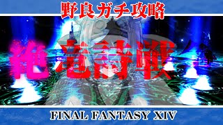 【FFXIV】絶竜詩戦争　６日目（DPSチェック考察）