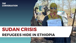 Sudanese Refugees Seek Safety in Ethiopian Forests