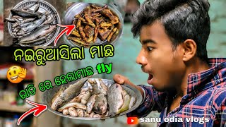 ନଇରୁଆସିଲା 🏞️|| ମାଛ 🐟 ରାତିରେ ହେଲା ମାଛ // fly 🥘😋//sanu odia vlogs //odia vlogs  // 2025 ?