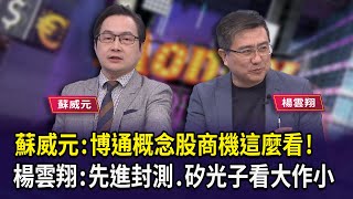 蘇威元：博通概念股商機這麼看！楊雲翔：先進封測.矽光子看大作小【財經週日趴】2025.1.12(2)