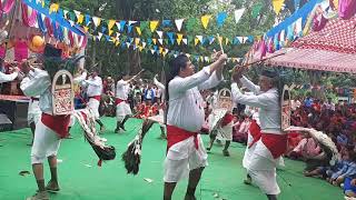 बाँकेमा संरक्षीत रुकुमको मयुर नाँच [Peacock dance in Banke}