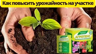 Комплексное удобрение для томатов