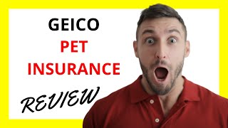 🔥 Geico Pet Insurance Review: Pros and Cons