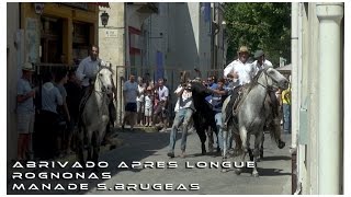 Bandido Après Longue Rognonas 14-07-2015