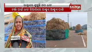 Untimely rain in Odisha led to major losses to farmers || Kalinga TV