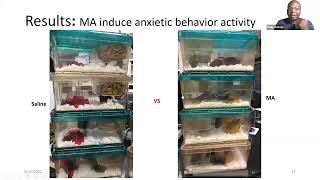 Neurotalk webinar 2022 @neurosciencesocietyofniger2019