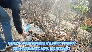 自己制作太阳能抽水灌溉系统，农民高手浇地一次性能用15小时