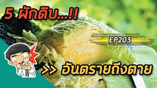 5 ผักดิบ อันตรายถึงตาย | EP203