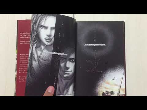 What is Twilight the graphic novel?