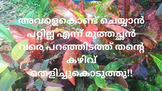 അവളെകൊണ്ട് ചെയ്യാൻ പറ്റില്ല എന്ന് മുത്തച്ഛൻ വരെ പറഞ്ഞിടത്ത് തന്റെ കഴിവ് തെളിച്ചുകൊടുത്തു!!