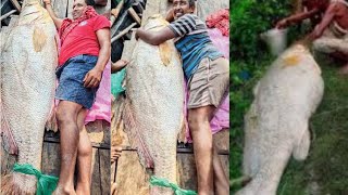 A Fisherman of India Turns Crorepati Over Night || Telia Bhola Fishing Net Video || West Bengal ||