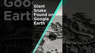 Giant Snake Found on Google Earth