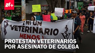 Veterinarios marchan en el país; buscan visibilizar la inseguridad y acoso que sufren - En Punto