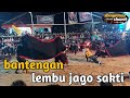 bantengan lembu jago sakti di sukoanyar wajak