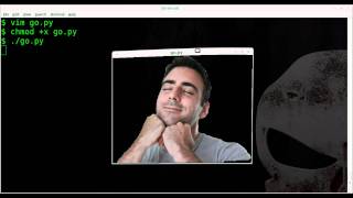 Shaped Windows with Transparences Python GTK Linux