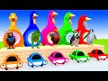 5 Giant Duck Cartoon, Cow, Mammoth, Dinosaur, Tiger, Paint Wild Animals Crossing Fountain Animation