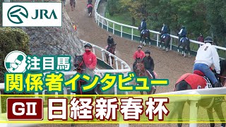 【注目馬 関係者インタビュー】2024年 日経新春杯｜JRA公式