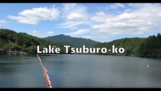 【Lake Tsuburo-ko】Cycling in the Mountains Around Nara's Largest Lake / 奈良県吉野町の人造湖「津風呂湖」周辺をサイクリング