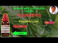 podophyllum 30 homeopathic medicine uses in bengali পডোফাইলাম