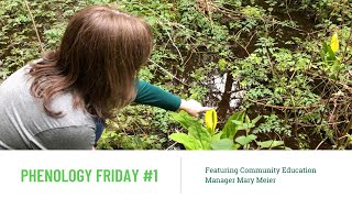 Phenology Friday #1