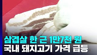 금값된 삼겹살에 축산 시장 '한산'...돼지 열병 우려도 / YTN