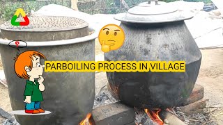 PADDY PARBOILING PROCESS | STEAMED RICE | VILLAGE LIFE |பாரம்பரிய முறைப்படி நெல் அவிக்கும் முறை