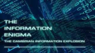 Information Enigma Trailer