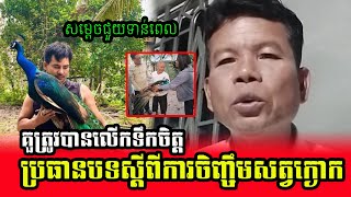 ប្រធានបទ ស្តីពីការចិញ្ចឹម ក្ងោក