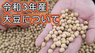 【令和3年産の大豆は乾きが良くない】山白玉(やましらたま) 黒五葉(くろごよう)