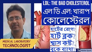 LDL: The Bad Cholesterol, এল ডি এল: খারাপ কোলেস্টেরল