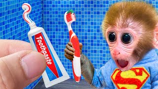 Monkey Bi Bon brush teeth with daddy so funny and play with puppy in the toilet