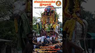 திருவிடைமருதூர் மகாலிங்கம் தைப்பூச தீர்த்தவாரி பஞ்சமுர்த்திகள் காவிரிக்கு எழுந்தருளல் GodAlmighty