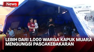 Pascakebakaran Penjaringan Warga Kapuk Muara Bertahan di Tenda Pengungsian