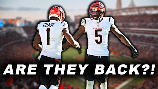 Are The Bengals Back?!