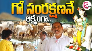 గో సంరక్షణే  లక్ష్యంగా..! | Goh Samrakshana Sala | Special Story | @sumantvbheemili