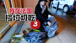 在法国捡垃圾吃【3】20斤蔬菜水果随便吃，又省钱了！法国捡垃圾 | 法国vlog | 图卢兹 | 法国生活 | 食物浪费 | 翻垃圾桶 | 国外捡垃圾