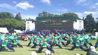 豊川おいでん2017 お茶ノ子祭々 一瞬 野球場メイン会場