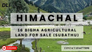 16 BIGHA LAND FOR SALE NEAR SUBATHU #dreamhome #himachalpradesh #mountains