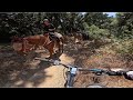 MARSHALL CANYON TRAIL(La Verne,Ca) Nice shaded trail with lots of water crossings! ​⁠@RIDEON909