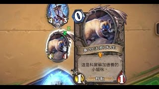 爐石彩蛋 獵人動物伙伴叫出科爾蘇加德的貓(畢勾沃斯先生)