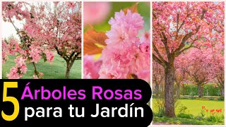 Árboles Rosas y Bonitos para tu JARDÍN