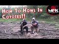 How To Howl In Coyotes With Diaphragms!!