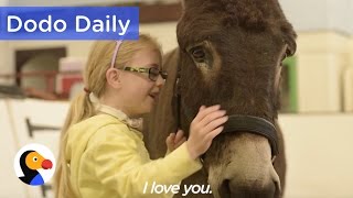 Therapy Donkey Helps Girl Speak | Best Animal Video Compilation | The Dodo Daily