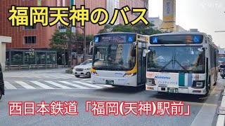 【福岡天神のバス】色とりどりのバスが集結するスポット①🤗西日本鉄道「福岡(天神)駅前」編