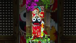 ନନ୍ଦିଘୋଷେ ବସିଥିବ....#jagannathwhatsupst #odia #viralbhajan #jayjagannathsong #jayjagannath #shorts