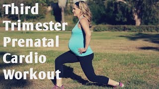 Third Trimester Prenatal Cardio Workout---But Good for ANY Trimester of Pregnancy!