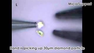 Video Showing Basic Functions of Micro Support Micromanipulators