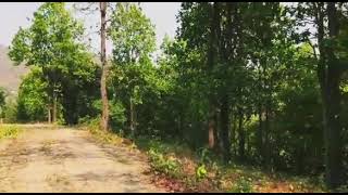 30 bigha Farm house land sale Thano Near Airport Dehradun